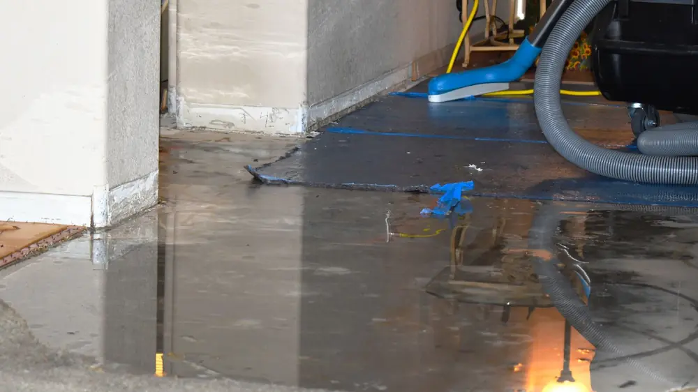 Extraction hose and equipment pulling water from a wet floor