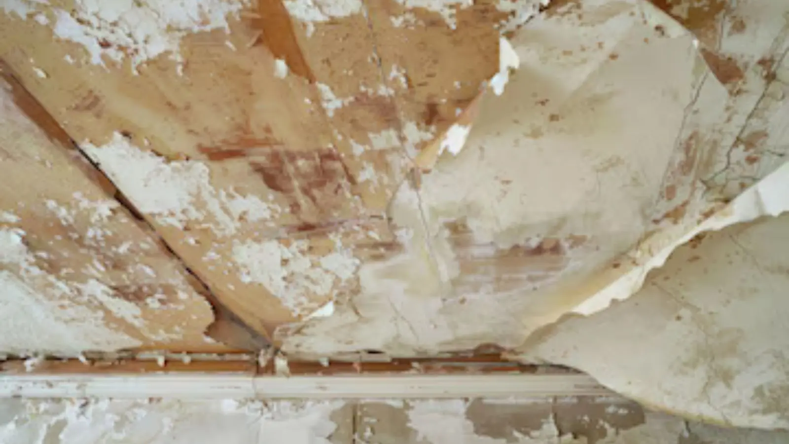 Water-damaged ceiling with peeling paint and plaster