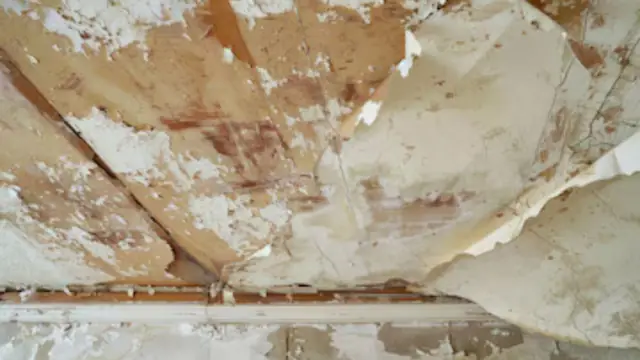 Water-damaged ceiling with peeling paint and plaster