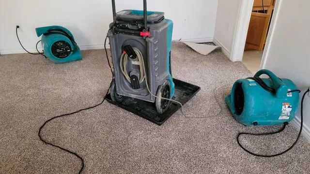 Dehumidifier and blue air movers drying a carpeted room