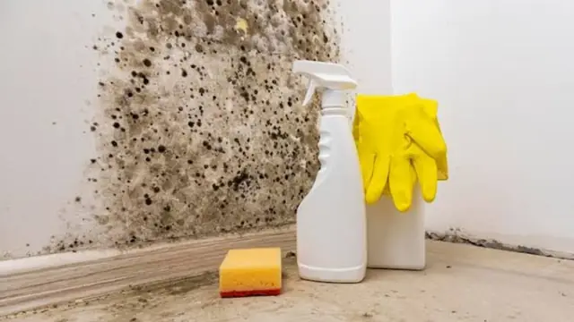 Mold spots on a wall above a baseboard with cleaning supplies on the floor